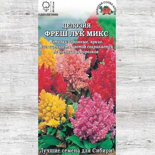 Целозия Фреш Лук, смесь окрасок изображение 1 артикул 83682