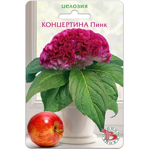 Целозия горшечная Концертина Пинк Биотехника изображение 1 артикул 97353