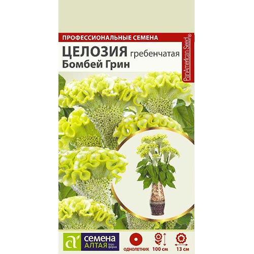 Целозия гребенчатая Бомбей Грин, семена изображение 1 артикул 94217