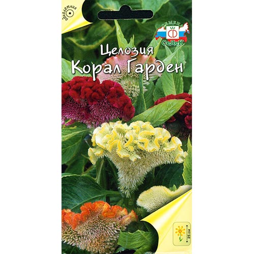 Целозия гребенчатая Корал Гарден, смесь окрасок изображение 1 артикул 93997