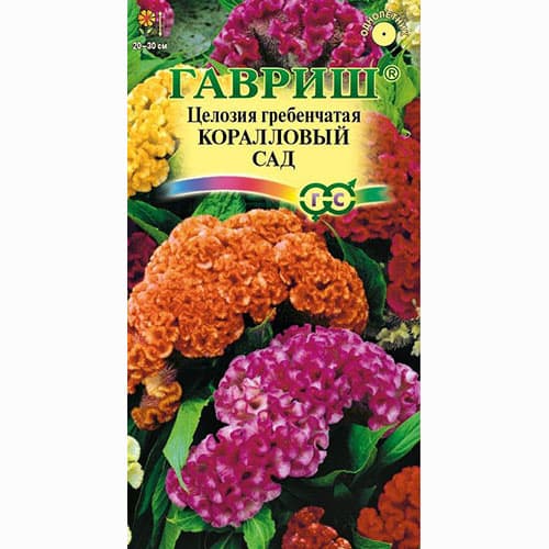 Целозия гребенчатая Коралловый сад, смесь окрасок Гавриш изображение 1 артикул 66148