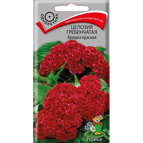 Целозия гребенчатая Крошка красная, семена изображение 1 артикул 93146