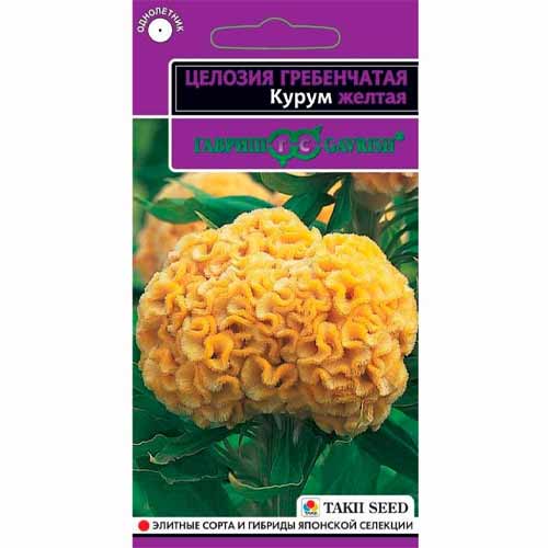 Целозия гребенчатая Курум желтая Гавриш изображение 1 артикул 40597
