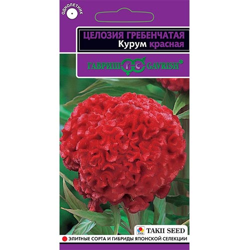Целозия гребенчатая Курум красная, семена изображение 1 артикул 92246
