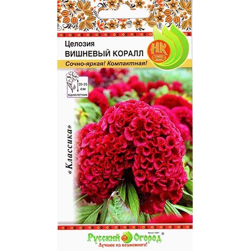 Целозия гребенчатая Вишневый коралл, семена изображение 1 артикул 92644