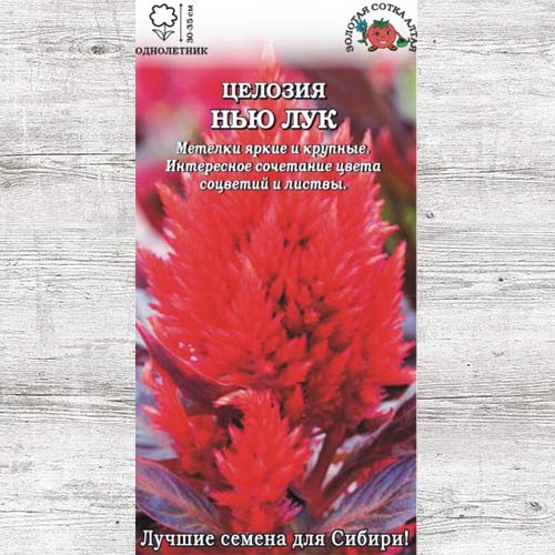 Целозия Нью Лук перистая изображение 1 артикул 83680