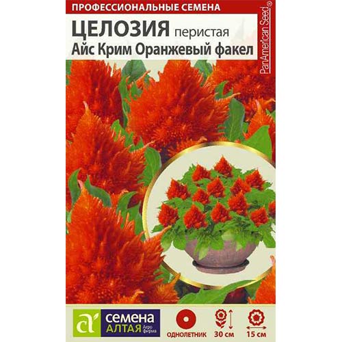 Целозия перистая Айс Крим Оранжевый факел Семена Алтая изображение 1 артикул 81810