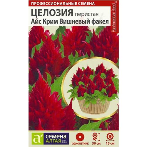Целозия перистая Айс Крим Вишневый факел Семена Алтая изображение 1 артикул 81809
