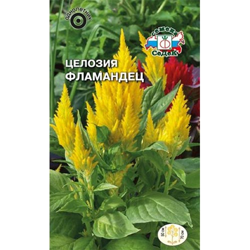 Целозия перистая Фламандец, семена изображение 1 артикул 93999