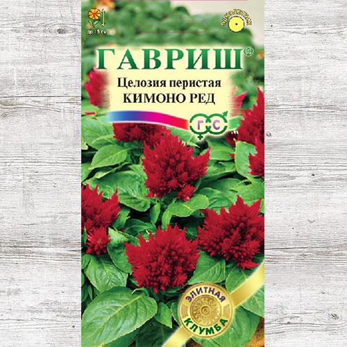 Целозия перистая Кимоно Ред Гавриш изображение 1 артикул 73928