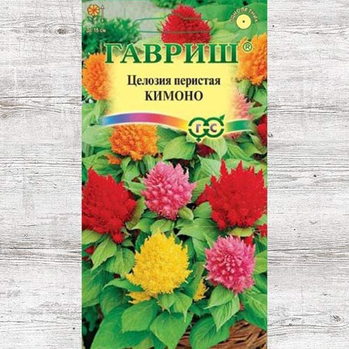 Целозия перистая Кимоно, смесь окрасок изображение 1 артикул 81812