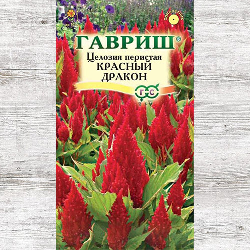Целозия перистая Красный дракон Гавриш изображение 1 артикул 71259