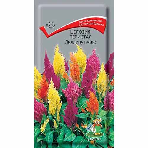 Целозия перистая Лиллипут, смесь окрасок Поиск изображение 1 артикул 93147