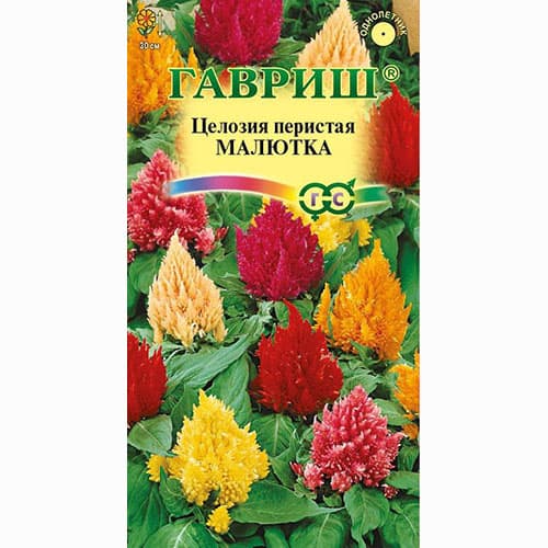 Целозия перистая Малютка, смесь окрасок Гавриш изображение 1 артикул 71260