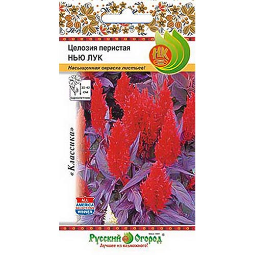 Целозия перистая Нью Лук, семена изображение 1 артикул 92645