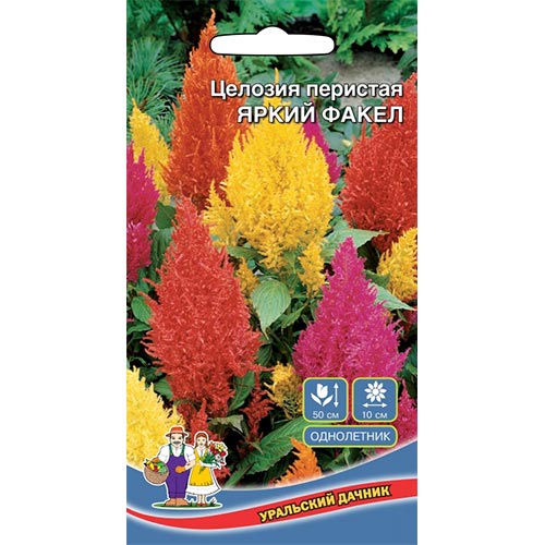 Целозия перистая Яркий факел, семена изображение 1 артикул 94849