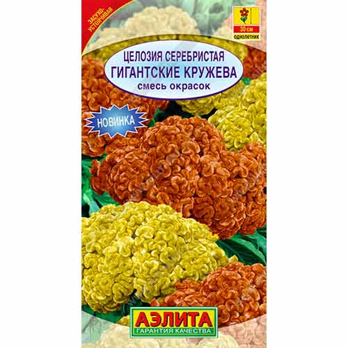 Целозия серебристая Гигантские кружева, смесь окрасок Аэлита изображение 1 артикул 99180