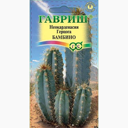 Цереус (кактус) перуанский Бамбино Гавриш изображение 1 артикул 97823