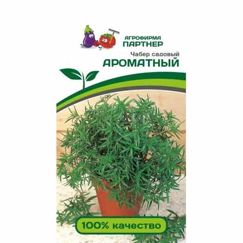 Чабер садовый Ароматный Партнер изображение 1 артикул 40735