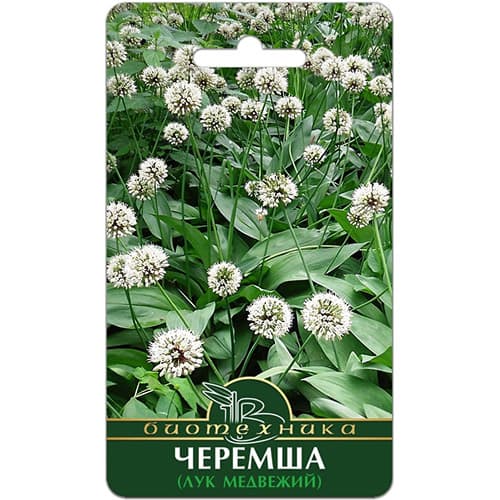 Черемша (лук медвежий) Биотехника изображение 1 артикул 97288