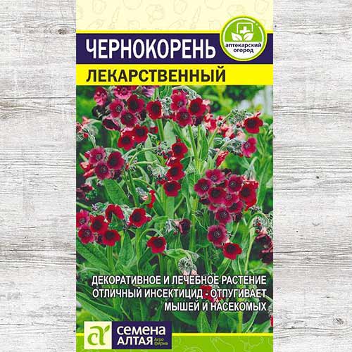 Чернокорень Лекарственный изображение 1 артикул 81595