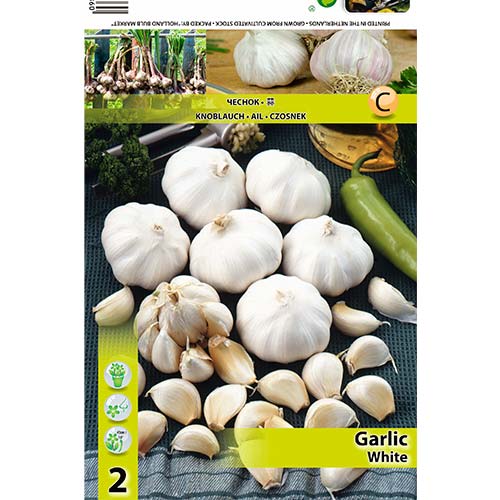 Чеснок белый изображение 1 артикул 70500