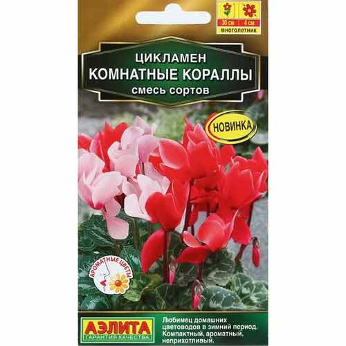 Цикламен Комнатные кораллы, смесь окрасок Аэлита изображение 1 артикул 99181