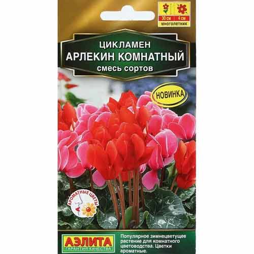 Цикламен комнатный Арлекин, смесь окрасок Аэлита изображение 1 артикул 99182