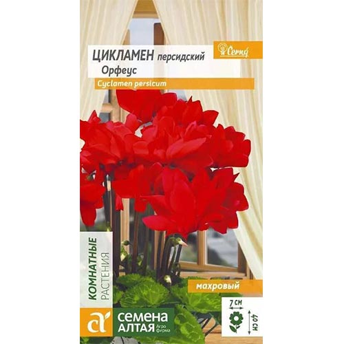 Цикламен махровый Орфеус, семена изображение 1 артикул 94224