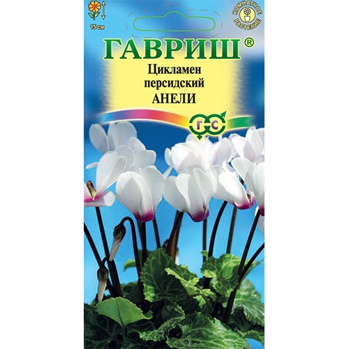Цикламен персидский Анели, семена изображение 1 артикул 92250