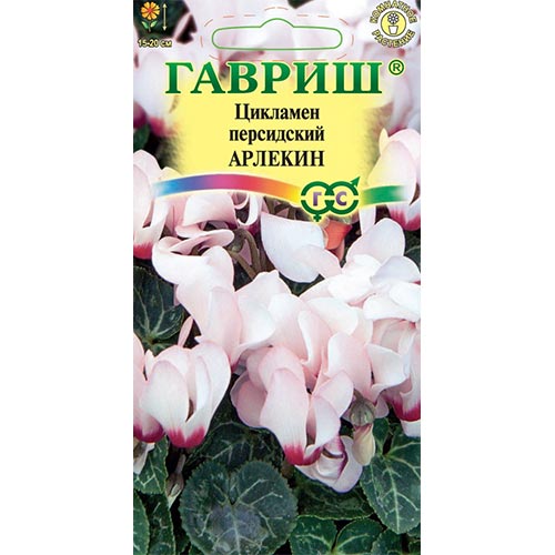 Цикламен персидский Арлекин, семена изображение 1 артикул 94871