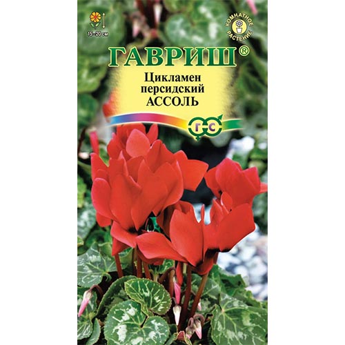 Цикламен персидский Ассоль, семена изображение 1 артикул 92252