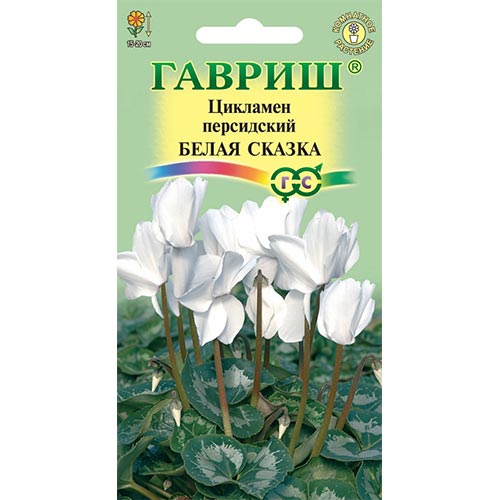 Цикламен персидский Белая сказка, семена изображение 1 артикул 92253