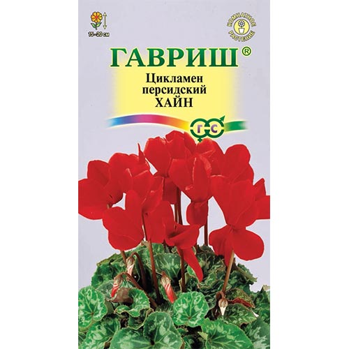 Цикламен персидский Хайн, семена изображение 1 артикул 94872