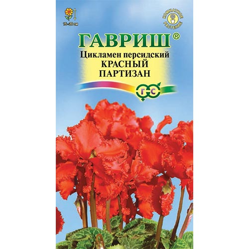 Цикламен персидский Красный партизан, семена изображение 1 артикул 92254