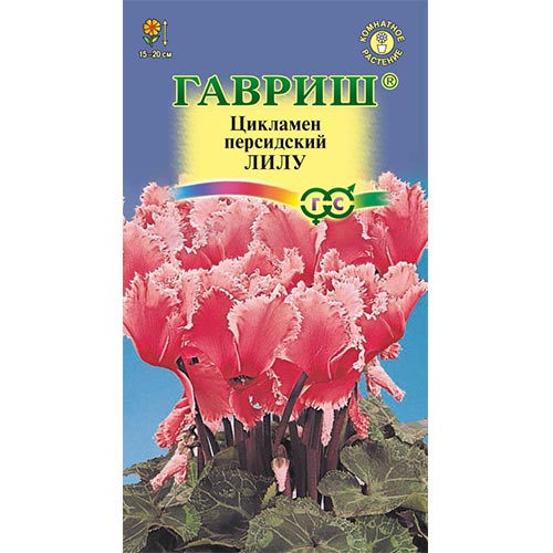 Цикламен персидский Лилу, семена изображение 1 артикул 92255
