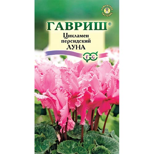Цикламен персидский Луна, семена изображение 1 артикул 92256