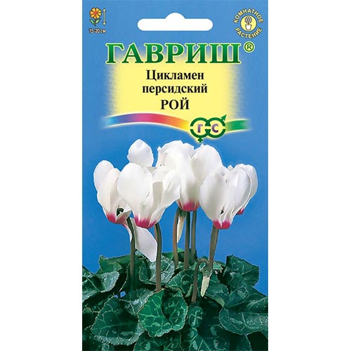 Цикламен персидский Рой, семена изображение 1 артикул 92260