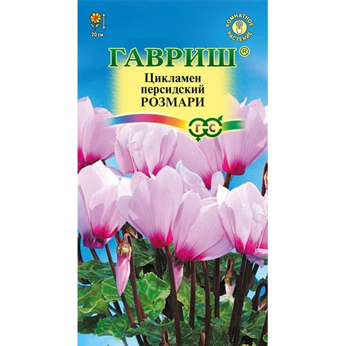 Цикламен персидский Розмари, семена изображение 1 артикул 92258