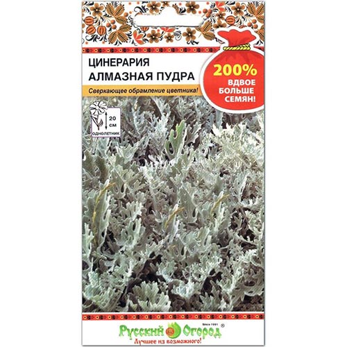Цинерария Алмазная пудра, семена изображение 1 артикул 92647