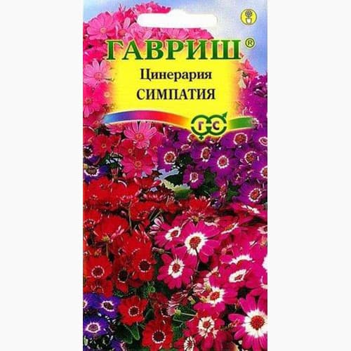 Цинерария гибридная Симпатия Гавриш изображение 1 артикул 97826