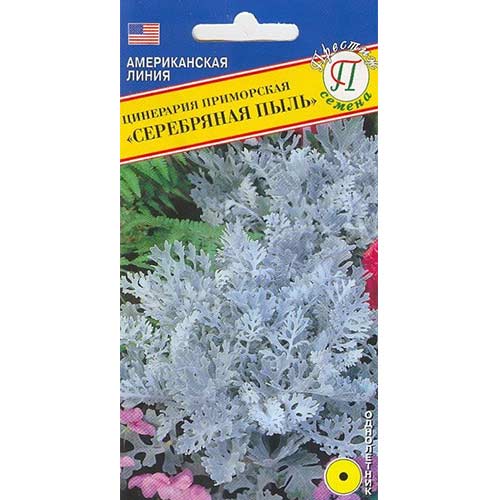 Цинерария Серебряная пыль Престиж изображение 1 артикул 84569