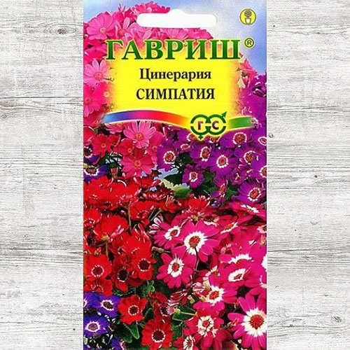 Цинерария Симпатия, смесь окрасок Гавриш изображение 1 артикул 71267