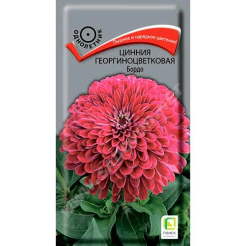 Цинния Бордо, семена изображение 1 артикул 93151