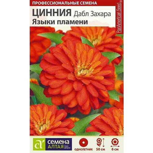 Цинния Дабл Захара Языки пламени Семена Алтая изображение 1 артикул 78267