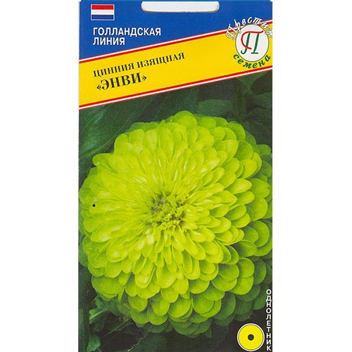 Цинния Энви Престиж изображение 1 артикул 84573