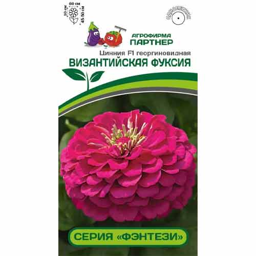 Цинния георгиновидная Фэнтези Византийская Фуксия F1 Партнер изображение 1 артикул 84829