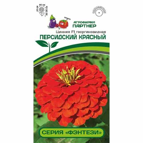 Цинния георгиновидная Фэнтези Персидский Красный F1 Партнер артикул фото 1 Цинния георгиновидная Фэнтези Персидский Красный F1 Партнер изображение 1 артикул 97252