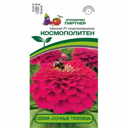 Цинния георгиновидная Сочные тропики Космополитен F1 Партнер изображение 1 артикул 40748