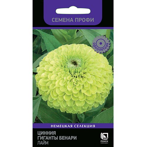 Цинния Гиганты Бенари Лайм, семена изображение 1 артикул 93152